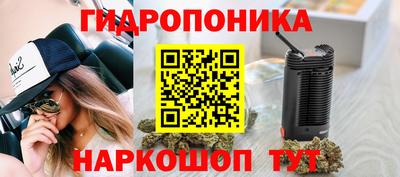 шишки Волгодонск