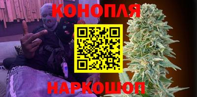 шишки Волгодонск