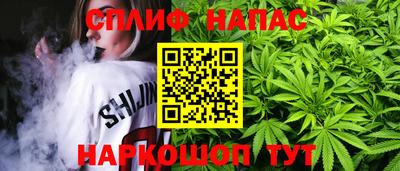 шишки Волгодонск