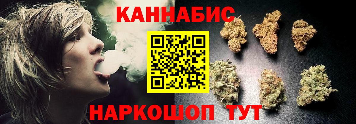 Канабис план  Каннабис сатива  Канабис планчик  Новокуйбышевск  Конопля White Widow  Вход с VPN 